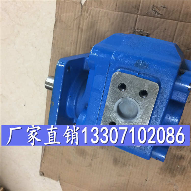 齿轮泵(油泵)CBG2080、型号、型号