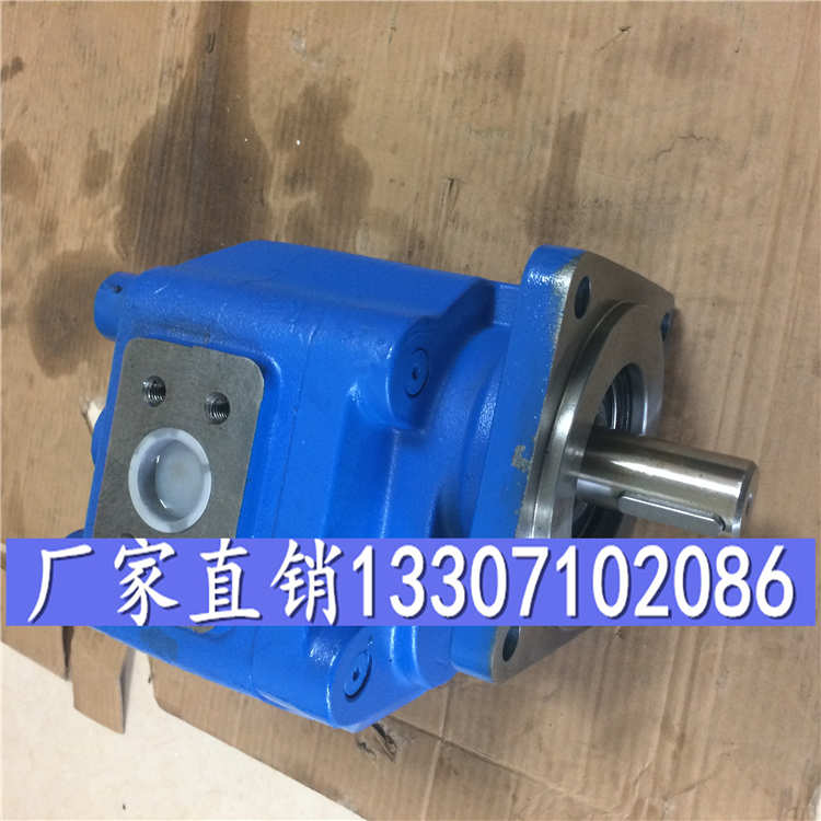 齿轮泵(油泵)CBY3063、工艺、海口