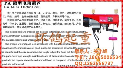 微型钢丝绳电动葫芦,环鸽起重(图),小型  小型电动葫芦  微型电动葫芦型号