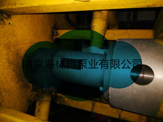 GR110SMT16B2500L维修SETTIMA螺杆泵