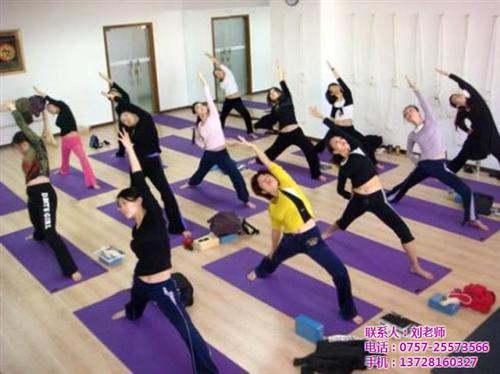 专业瑜伽培训哪里好、山西瑜伽培训、菲士舞  瑜伽培训哪家好  瑜伽培训费用