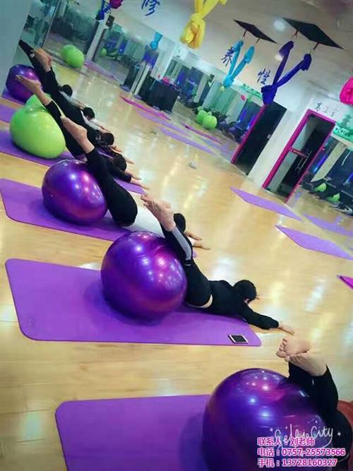辽宁瑜伽培训、菲士舞蹈、瑜伽培训教练  瑜伽培训价格  瑜伽培训哪家好