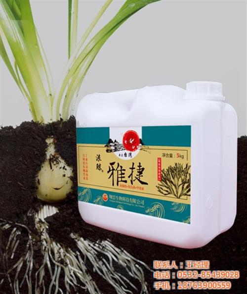 台湾翔云雅捷,雅捷,苏菲格耳国际贸易(查&nbsp;&nbsp;海藻肥料雅捷&nbsp;&nbsp;生物肥料雅捷