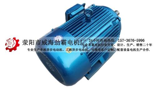 三相电机|电机|三相电机维修  三相交流永磁同步  三相电机厂