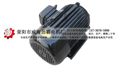 三相电机维修|电机|劲霸电机(查看)  三相交流异步电机  三相电机厂