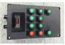 BZC51-A2B1D2K1GL防爆操作柱