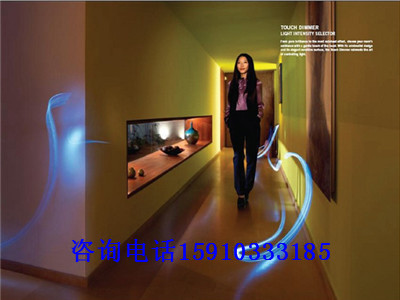 株洲智能全彩气氛灯泡顶尖设计团队