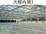 大棚_福州温室大棚_莆田大棚建设
