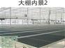 大棚|福州温室大棚|莆田温室大棚