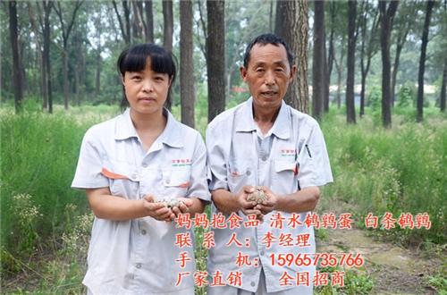 山东妈妈抱食品有限公司,鹌鹑蛋,山东鹌鹑  山东鹌鹑蛋厂家  山东鹌鹑蛋招商  山东鹌鹑蛋营养价