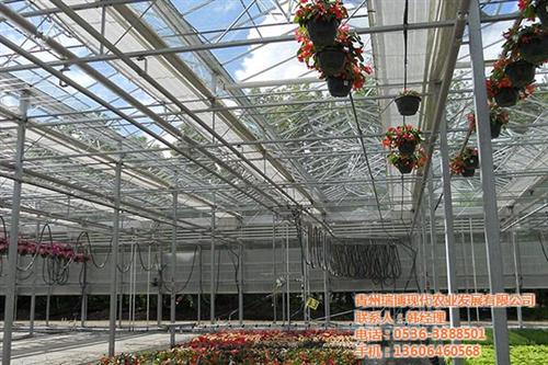 温室工程生产厂家,温室工程,新昌晟物产(  温室工程价格  温室工程报价