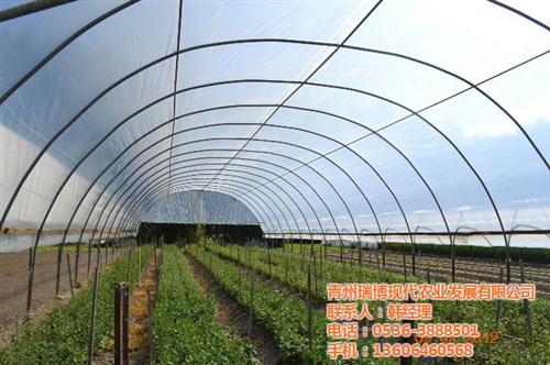 温室工程报价|温室工程|新昌晟物产(多图  温室工程厂家  温室工程生产厂家