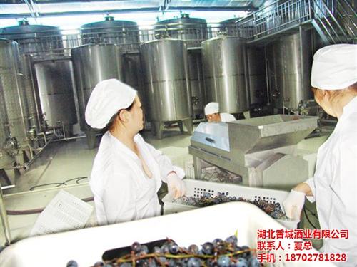 水果加工酿酒、莆田水果加工、香城酒业果酒&nbsp;&nbsp;落地水果加工&nbsp;&nbsp;水果加工公司