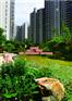 贵州园林设计_城隆苗木_住宅园林设计公司
