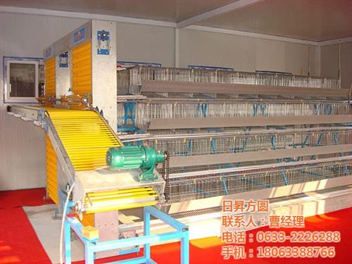 蛋鸡养殖鸡笼,方圆笼具,自动化蛋鸡养殖鸡  蛋鸡养殖鸡笼批发  全自动蛋鸡养殖鸡