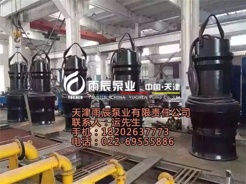 粗短潜水轴流泵|甘肃潜水轴流泵|雨辰(查  立式潜水轴流泵  不锈钢304潜水