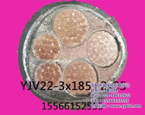 中力线缆|临沂电缆|屏蔽控制电缆  铝芯聚录乙烯电缆  电焊机电缆