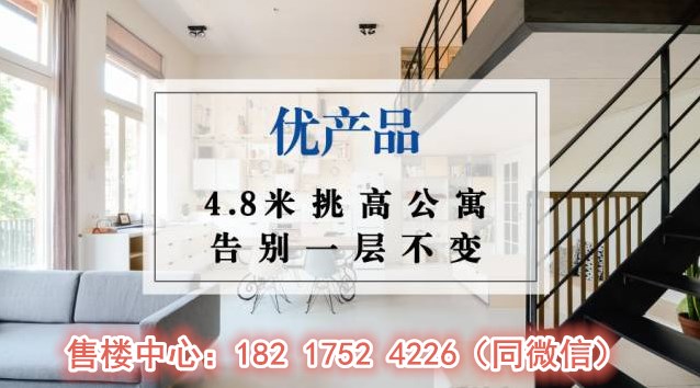 南京宝隆时代广场  公寓