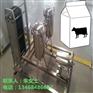 小型巴氏奶生产流水线
