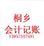 桐乡新成立的公司会计所建账目