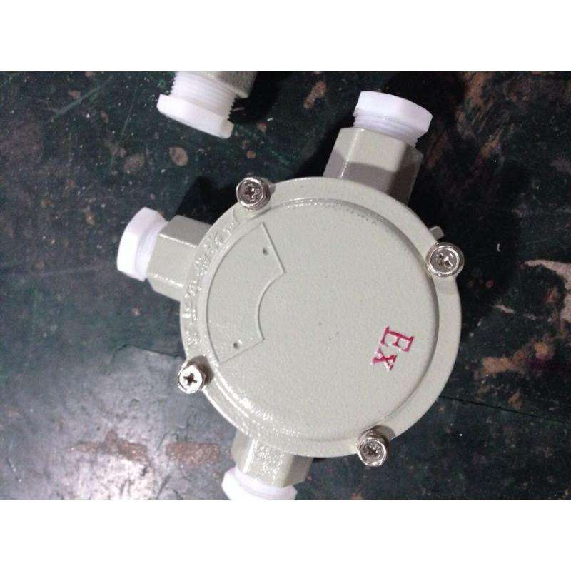 BHD51-G3/4防爆接线盒 铝合金防爆接线盒 粉尘防爆接线盒