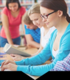 本科学历报名入口_报名须知  厂家价格