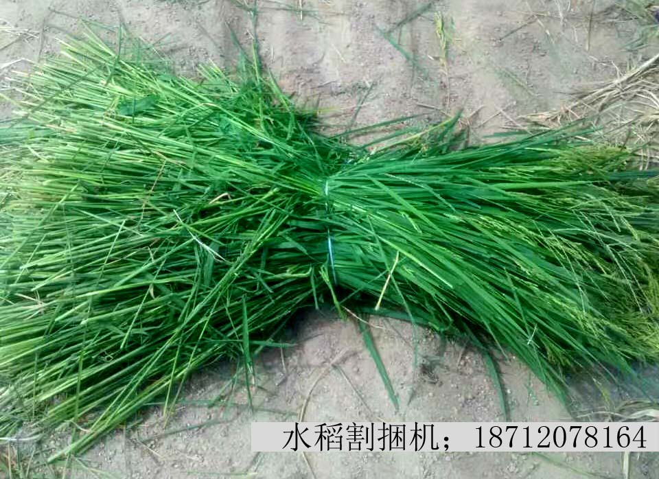 割捆机  进口割捆机  水稻割捆机  久保田割捆机
