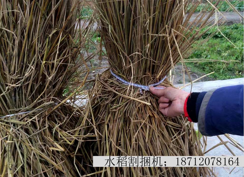 供应久保田488半自动 水稻割捆机厂家直销  久保田割捆机