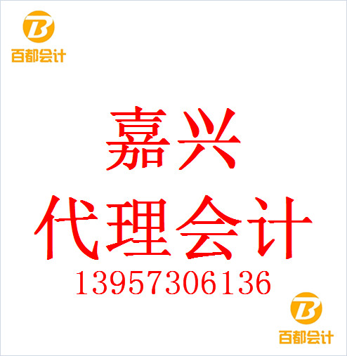 嘉兴小企业资产负债表的内容