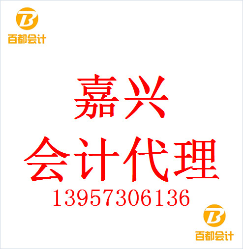 嘉兴小企业资产负债表的内容