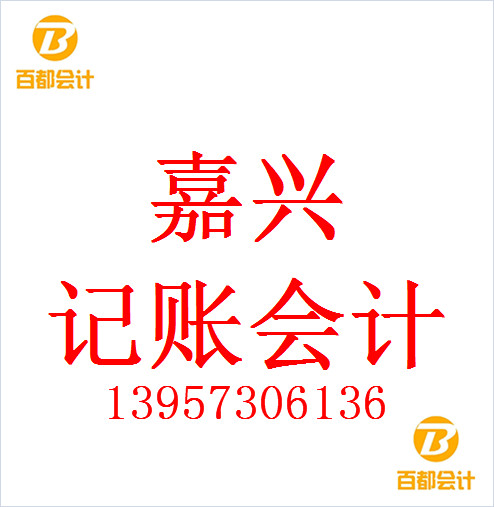嘉兴小企业资产负债表的内容
