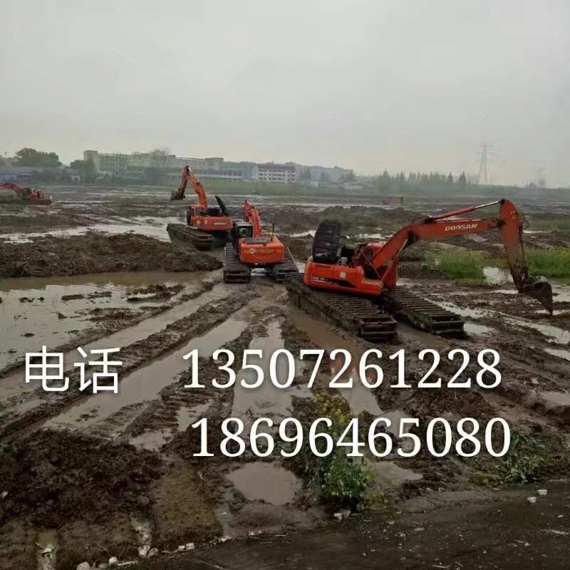 云南省西双版纳湿地挖机租赁江门