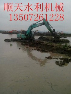 福建省龙岩市水挖机租赁汕头品牌