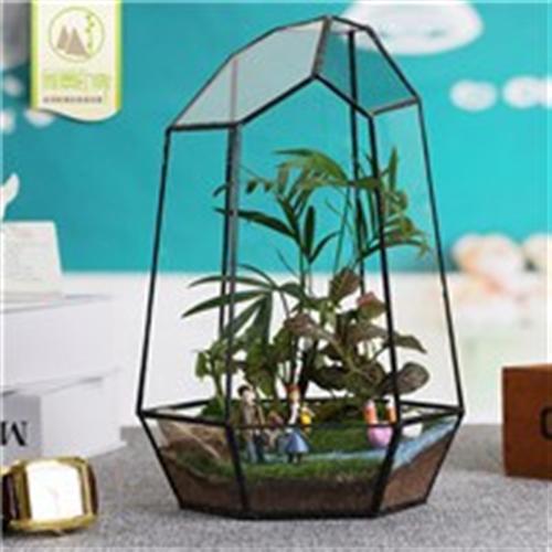 济南绿植微景观定制、绿植微景观、沃柏居(  山东绿植微景观加  湖南绿植微景观厂