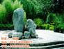 园林景观石_文艺路街道景观石_博茂园林(