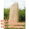 公园景观石,福临镇景观石,博茂园林(图)