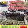 北京9dvr代理|猎金vr加盟|9dvr