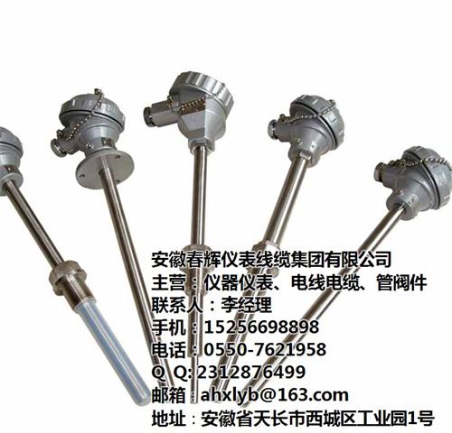 山东微型热电偶_安徽春辉集团_微型热电偶  微型热电偶价格  微型热电偶销售厂  微型热电偶生产销