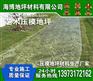 衡阳混凝土艺术地坪施工
