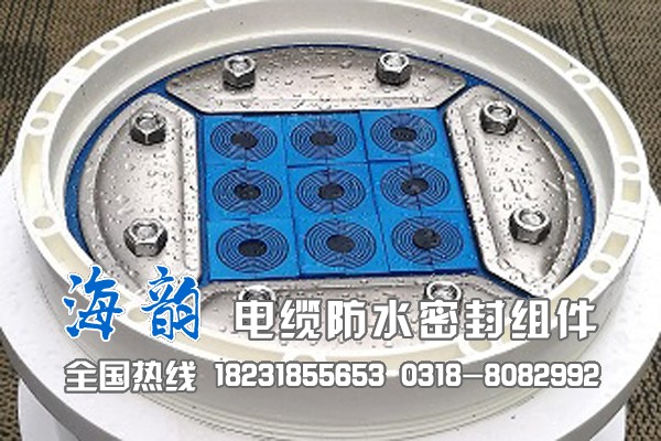 电缆密封组件&nbsp;&nbsp;电缆防水组件&nbsp;&nbsp;橡塑预埋件