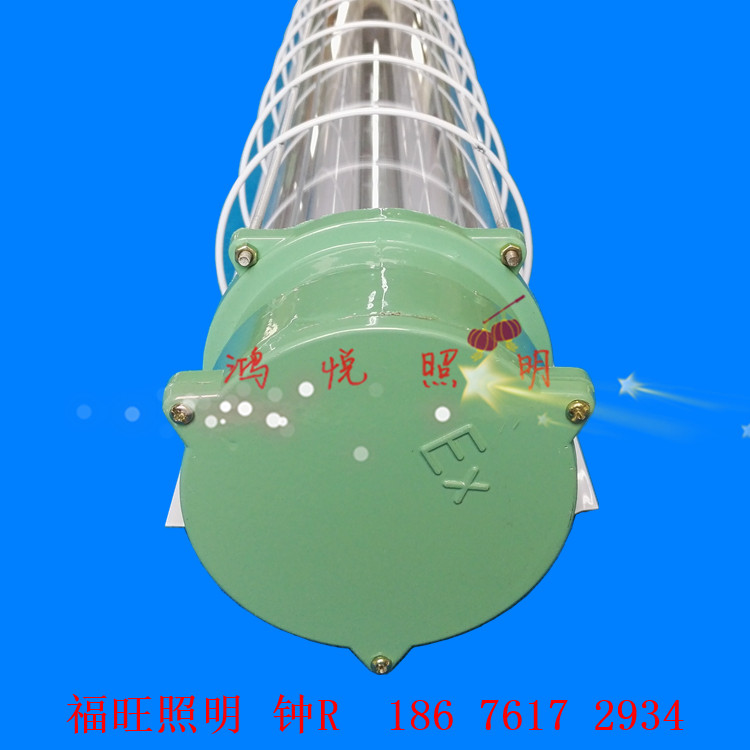 广州LED防爆灯具双支单管18w36w节能环保仓库防爆吊灯  防爆荧光灯  防爆日光灯  双管防爆灯