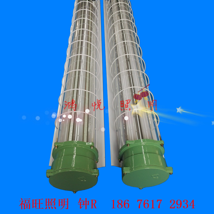 广州LED防爆灯具双支单管18w36w节能环保仓库防爆吊灯  防爆荧光灯  防爆日光灯  双管防爆灯