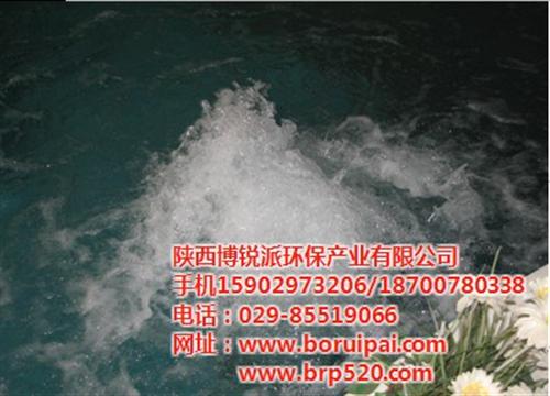 陕西博锐派,西宁市游泳池,游泳池水质标准  游泳池消毒剂  游泳池设备