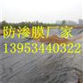 山西大同尾矿坝1.0mm防渗膜厂家