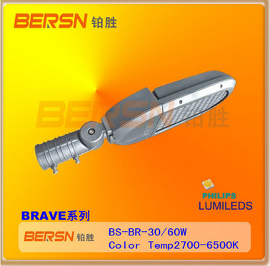 BRAVE系列LED路灯30W新款学校公园广场道路照明