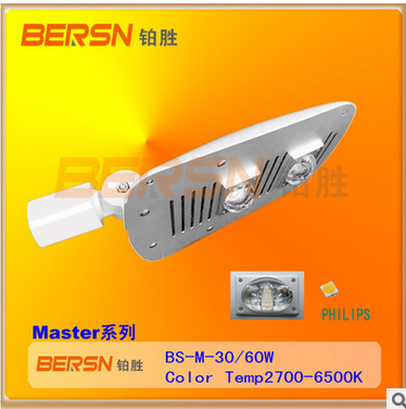 Maxter系列LED路灯60W户外道路照明IP65