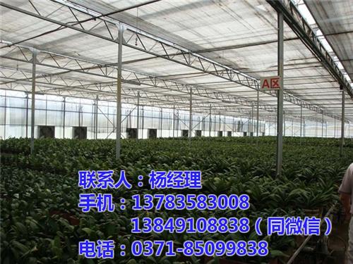 安阳玻璃温室、【欣荣温室工程】、玻璃温室  阳光板玻璃温室  玻璃温室优势  玻璃温室安装