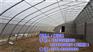 【欣荣温室工程】、新乡温室大棚、温室大棚