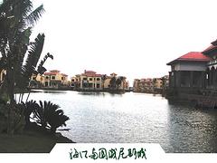 实惠的海南水景假山当选海口林屿造园艺术工 海南水景假山哪里有 海南水景假山哪家好
