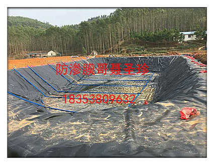 新干县黑膜沼气池建设防渗土工膜供应价格  防渗膜